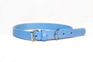 Blue Leather Dog Collar And Lashes Set 