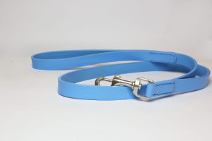 Blue Leather Dog Collar And Lashes Set 