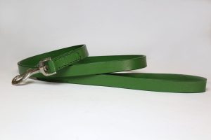 Green Leather Dog Collar And Lashes Set 