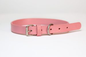 Pink Leather Dog Collar And Lashes Set 