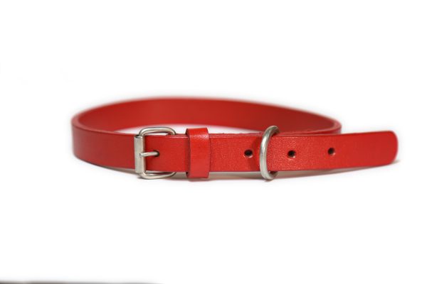 Red Leather Dog Collar And Lashes Set 