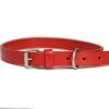 Red Leather Dog Collar And Lashes Set 