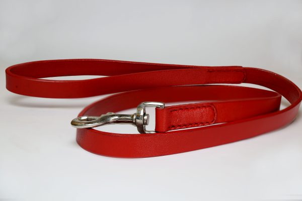 Red Leather Dog Leashes