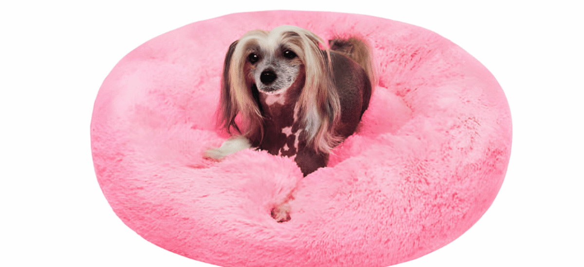 donut dog bed