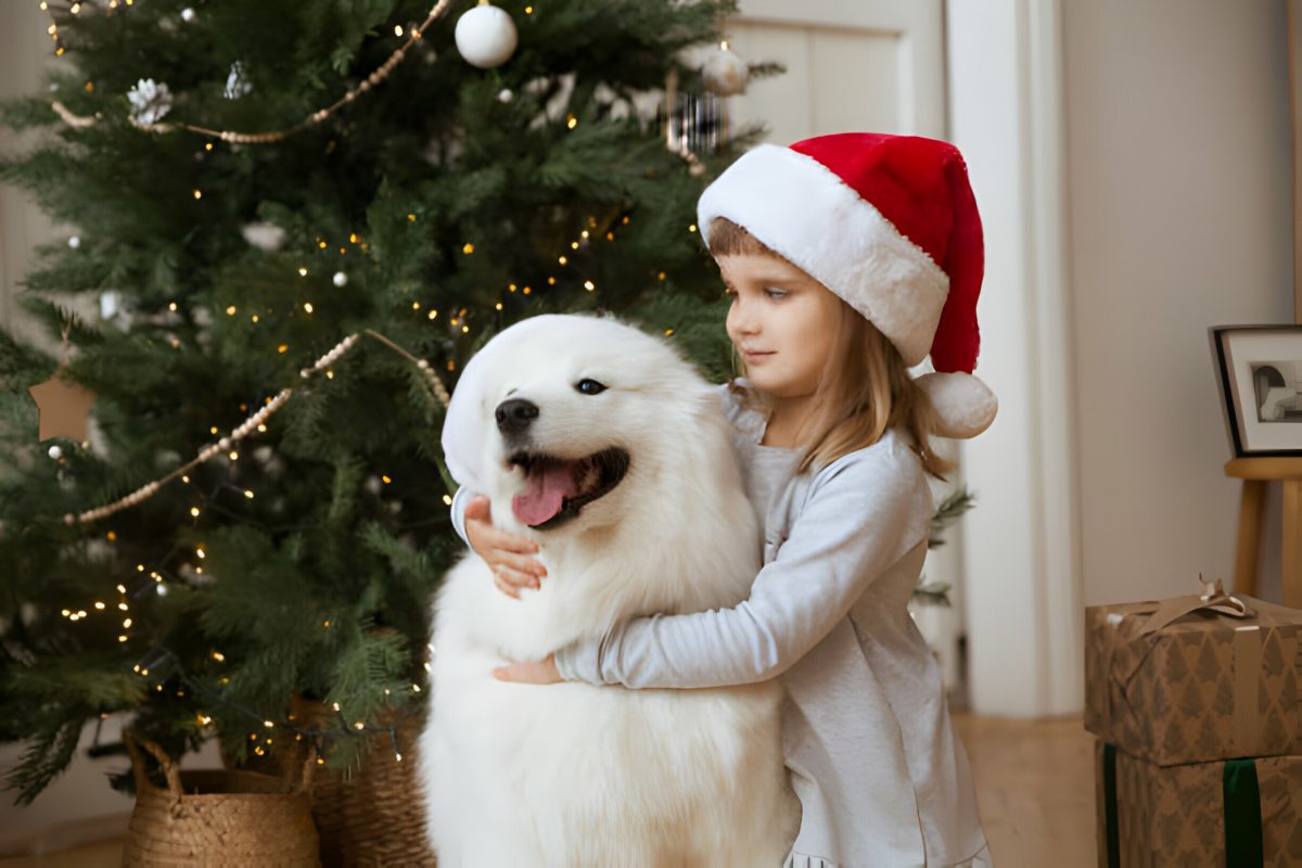 christmas dog and girl