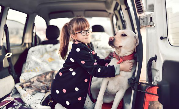 dog and kids in car